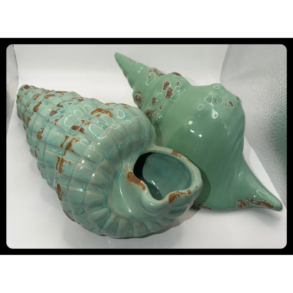 Unbranded conch shell